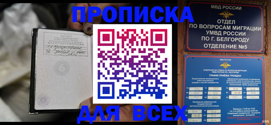 где прописаться в Шатуре